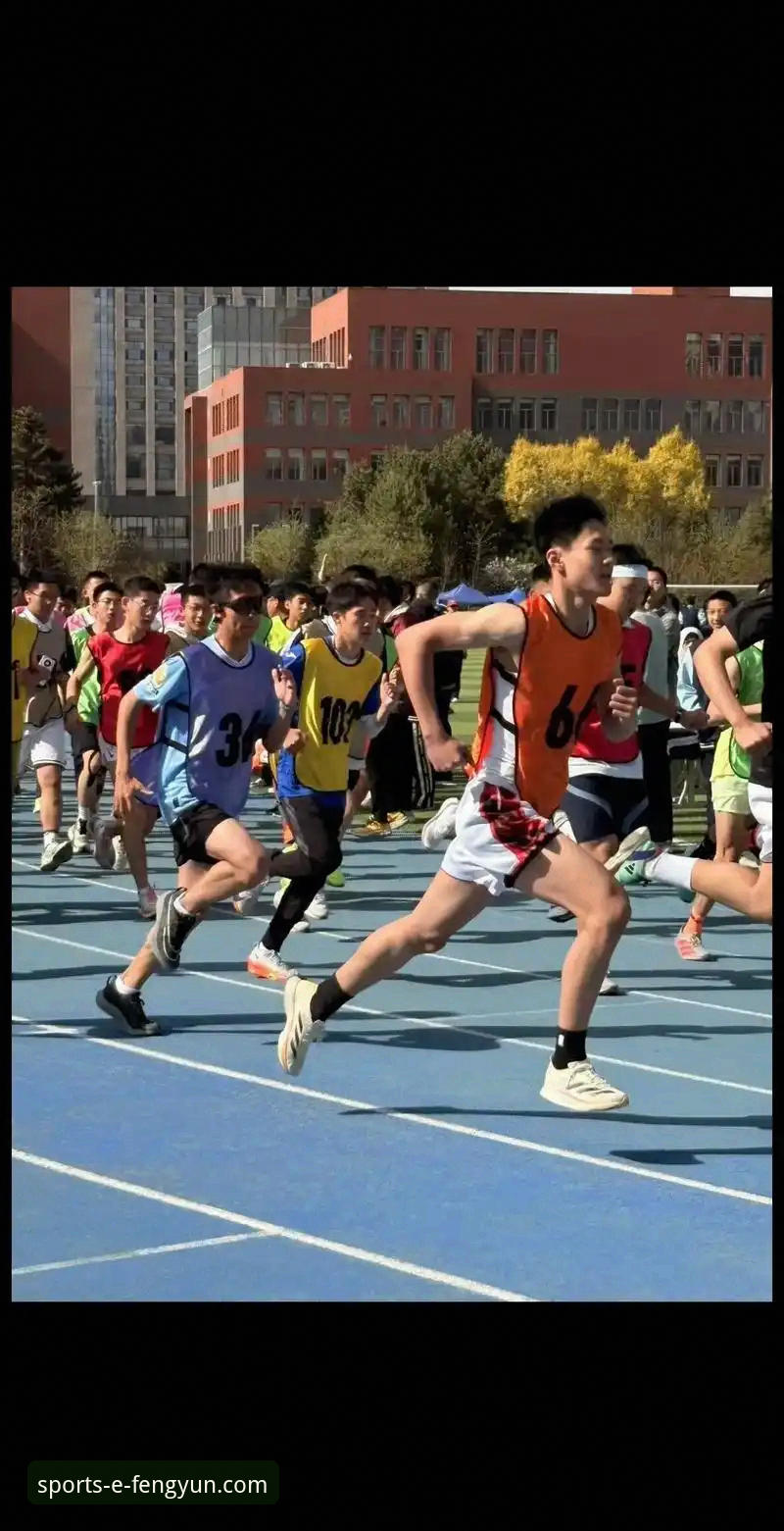 体育数据达人亲述：风云体育赛事预测的使用心得与实战经验